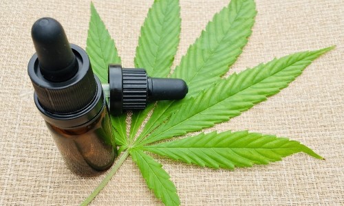 Mercado de cannabis medicinal deve ultrapassar a marca de 1 bilhão de reais neste ano